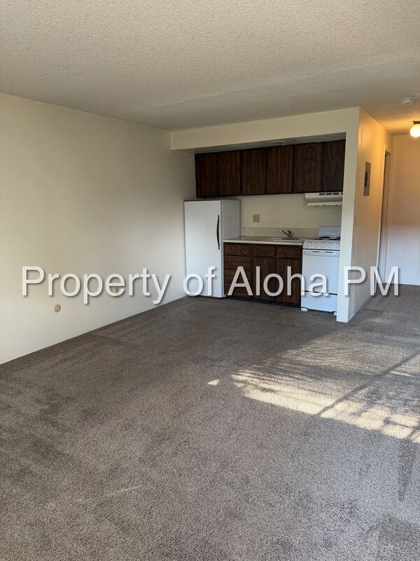 Studio apartment in a fantastic downtown Boise location! property image