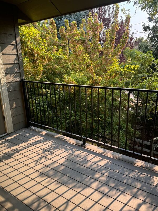 Conveniently located 2 bed 2 bath near the freeway! property image
