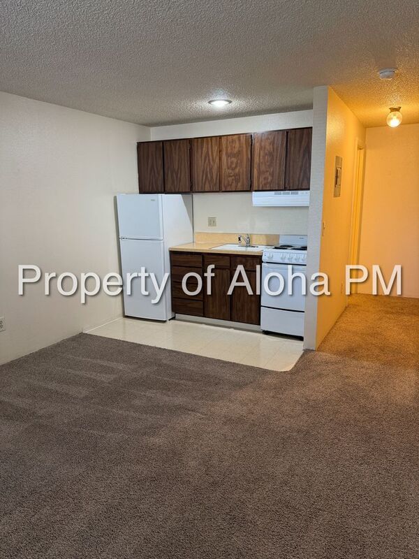 Studio apartment in a fantastic downtown Boise location! property image